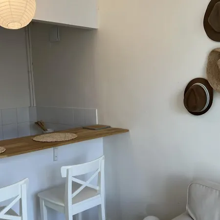 Apartamento Charmant 2 Pieces En Centre-ville De - 30m² Pour 2 Pers., Animaux Acceptes - Fr-1-487-348