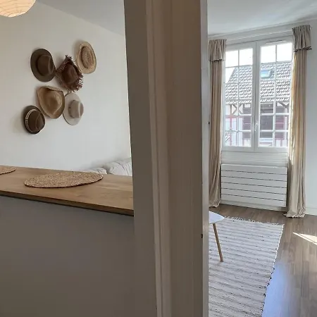 Charmant 2 Pieces En Centre-ville De - 30m² Pour 2 Pers., Animaux Acceptes - Fr-1-487-348 Apartamento